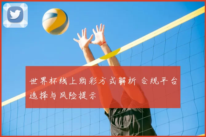 世界杯线上购彩方式解析 合规平台选择与风险提示