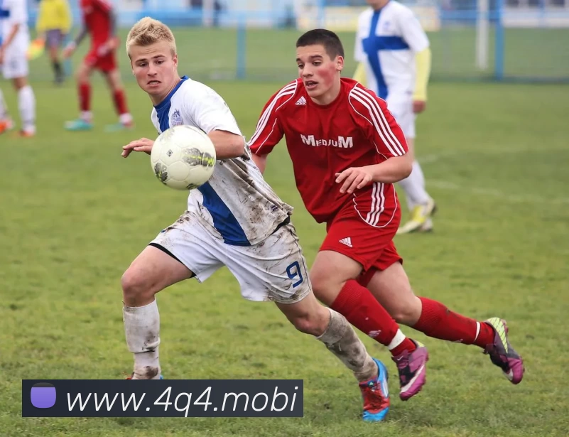 巅峰国际官网 - 追求健康,你我一起成长平台生态图